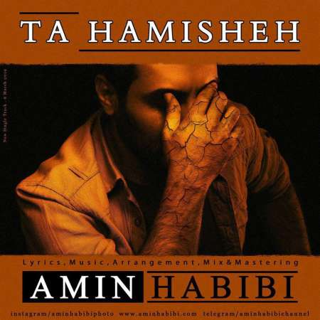 Amin Habibi – Ta Hamisheh